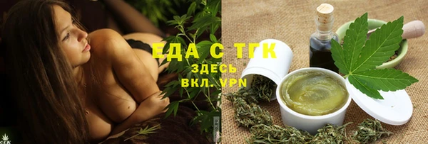гашик Новозыбков