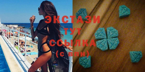 гашик Новозыбков