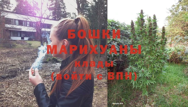 гашик Новозыбков