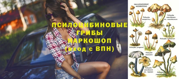 хмурый Новодвинск