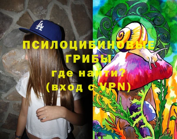 хмурый Новодвинск