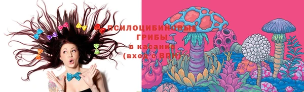 гашик Новозыбков