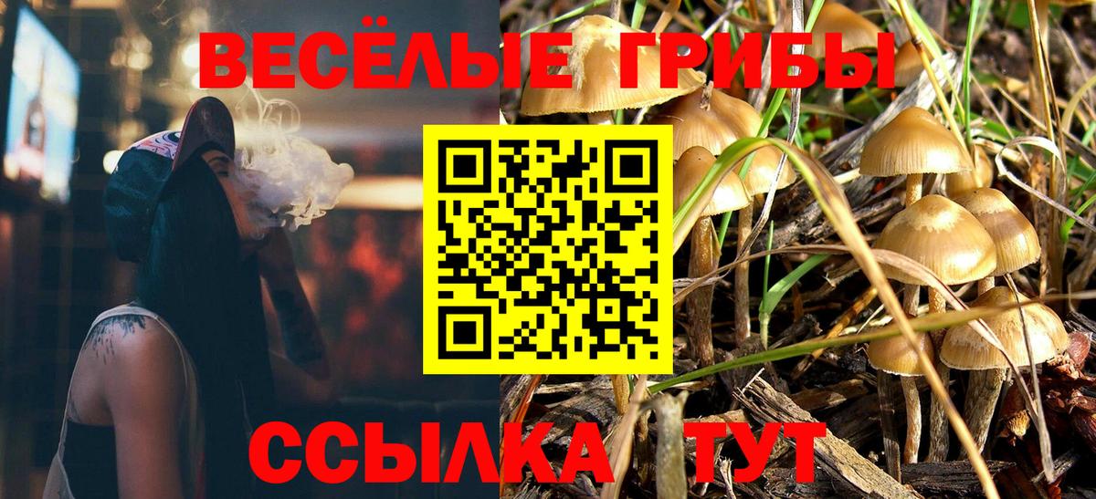 Псилоцибиновые грибы ЛСД Красный Сулин