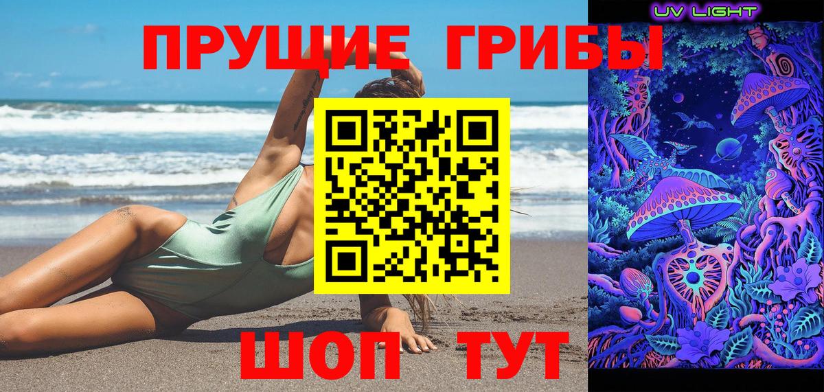 Псилоцибиновые грибы Psilocybine cubensis  Вход с VPN  Красный Сулин 