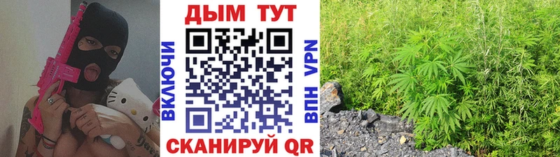Бошки марихуана VHQ  как найти закладки  Красный Сулин 